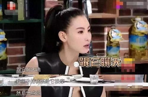 吃瓜红姐 演艺圈明星系列长篇,吃瓜红姐带你探秘明星系列长篇